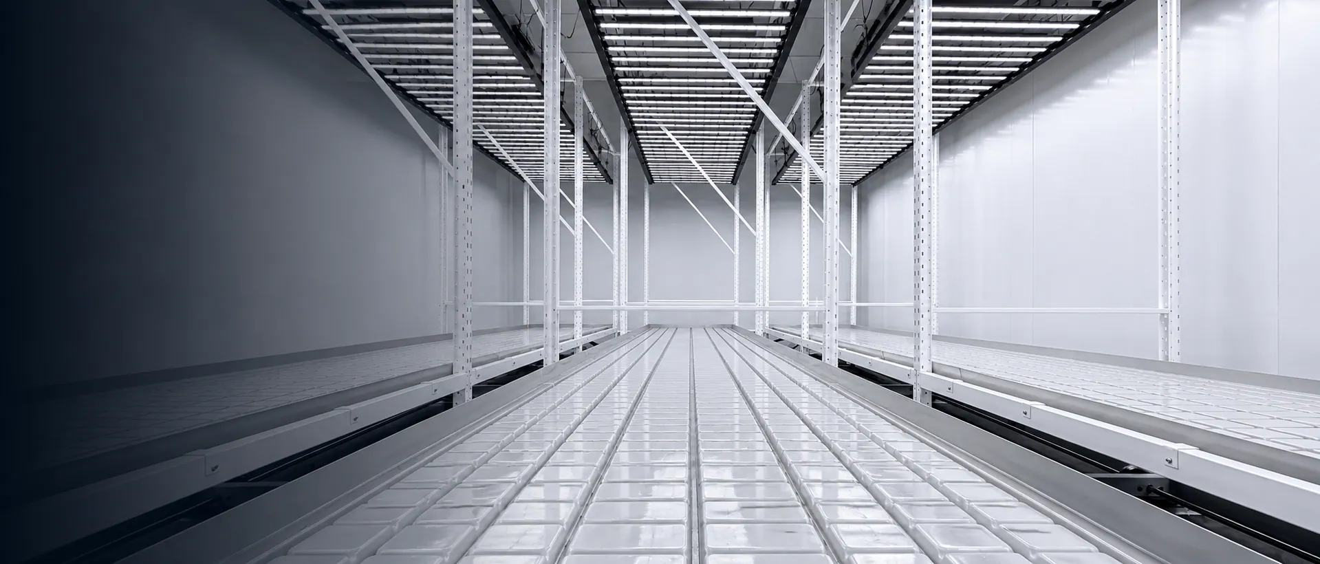Legacy Ag indoor cultivation facility — empty rack benches under LED lighting